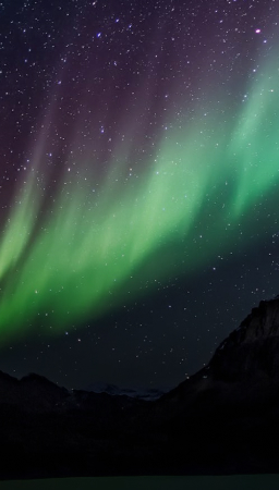 Ciel aurores bauréales nuit